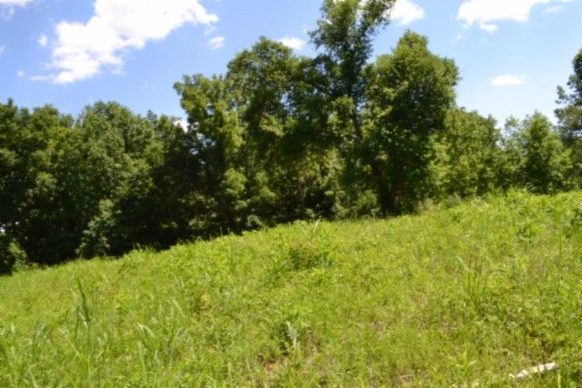 0 Pea Ridge Fire Tower Rd, Celina, TN 38551
