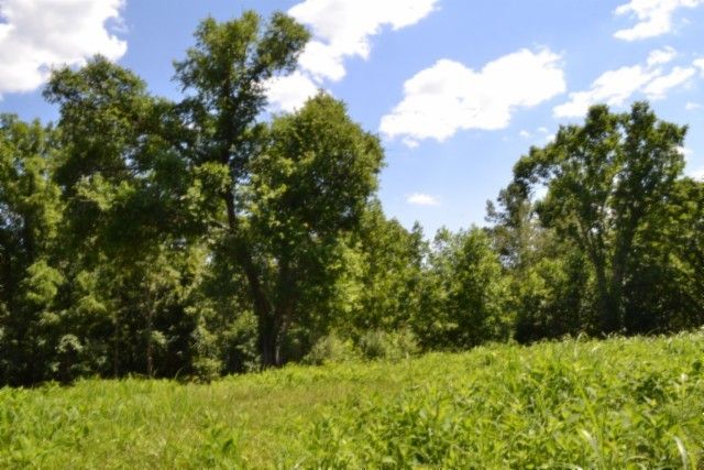 0 Pea Ridge Fire Tower Rd, Celina, TN 38551