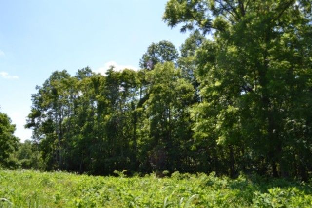 0 Pea Ridge Fire Tower Rd, Celina, TN 38551