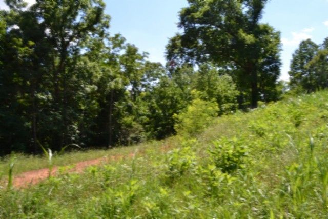 0 Pea Ridge Fire Tower Rd, Celina, TN 38551