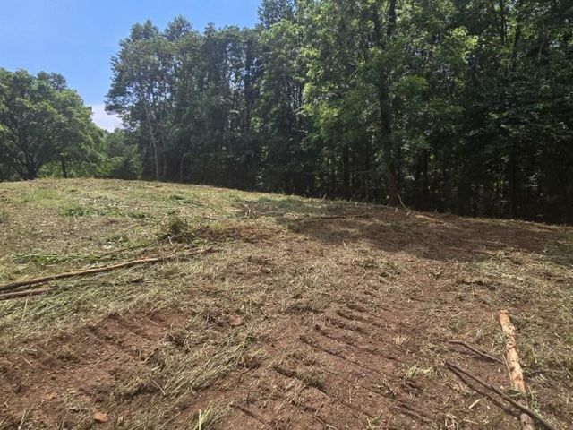 0 Pea Ridge Fire Tower Rd, Celina, TN 38551