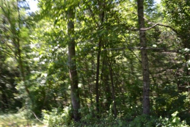 0 Pea Ridge Fire Tower Rd, Celina, TN 38551