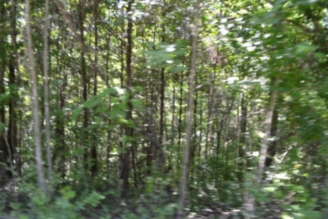 0 Pea Ridge Fire Tower Rd, Celina, TN 38551