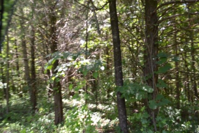 0 Pea Ridge Fire Tower Rd, Celina, TN 38551