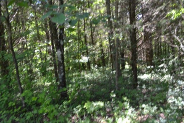 0 Pea Ridge Fire Tower Rd, Celina, TN 38551