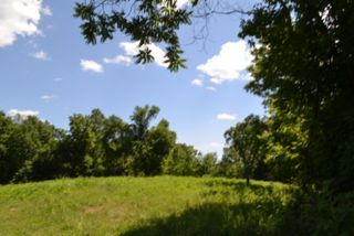0 Pea Ridge Fire Tower Rd, Celina, TN 38551