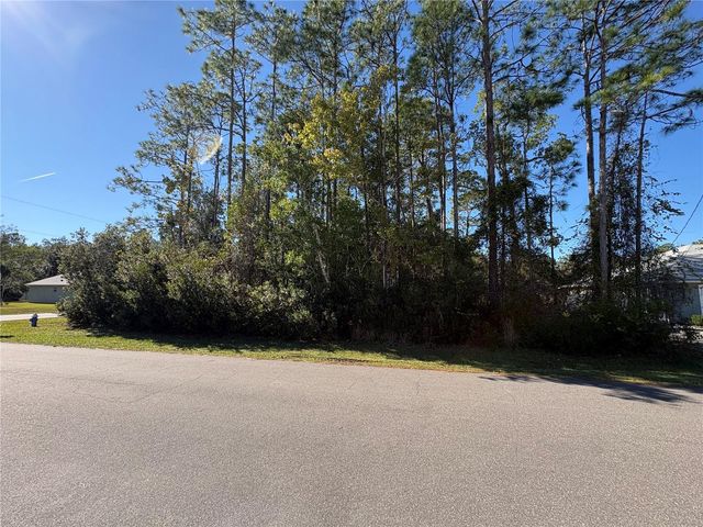 1 ZANZIBAR COURT, Palm Coast, FL 32164