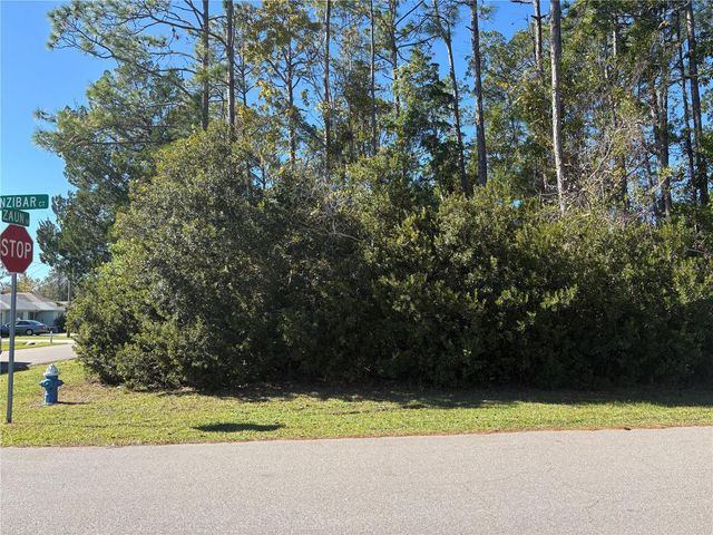 1 ZANZIBAR COURT, Palm Coast, FL 32164