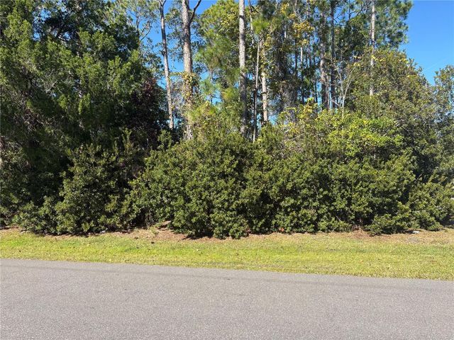 1 ZANZIBAR COURT, Palm Coast, FL 32164