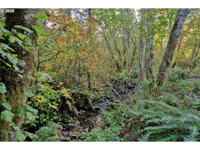 72792 Shoestring Rd, Cottage Grove, OR 97424