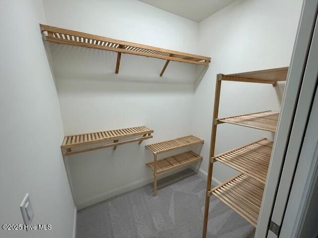 8432 Caladenia Way NE, Leland, NC 28451