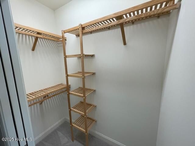 8432 Caladenia Way NE, Leland, NC 28451