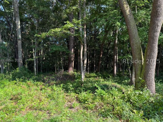 23 Joe Frazier Road, Beaufort, SC 29906