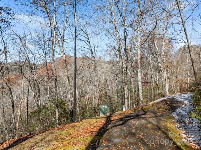 151 Trout Lily Lane, Tuckasegee, NC 28783