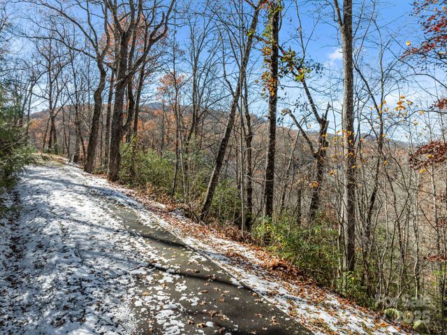 151 Trout Lily Lane, Tuckasegee, NC 28783