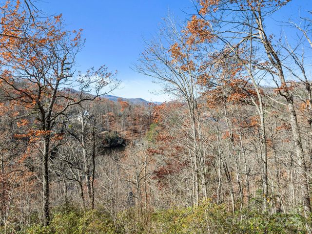 151 Trout Lily Lane, Tuckasegee, NC 28783