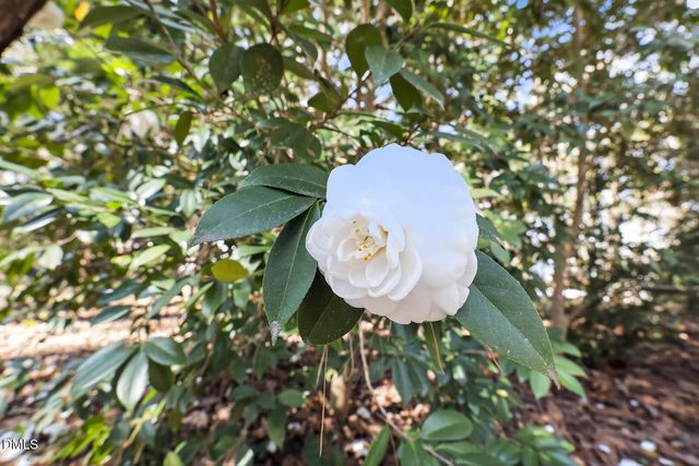 2022 Englewood Drive, Apex, NC 27539