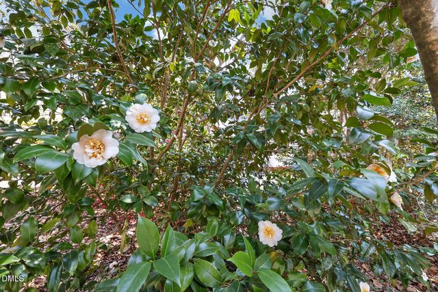 2022 Englewood Drive, Apex, NC 27539