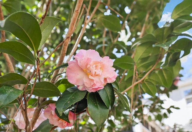 2022 Englewood Drive, Apex, NC 27539