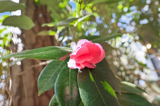 2022 Englewood Drive, Apex, NC 27539