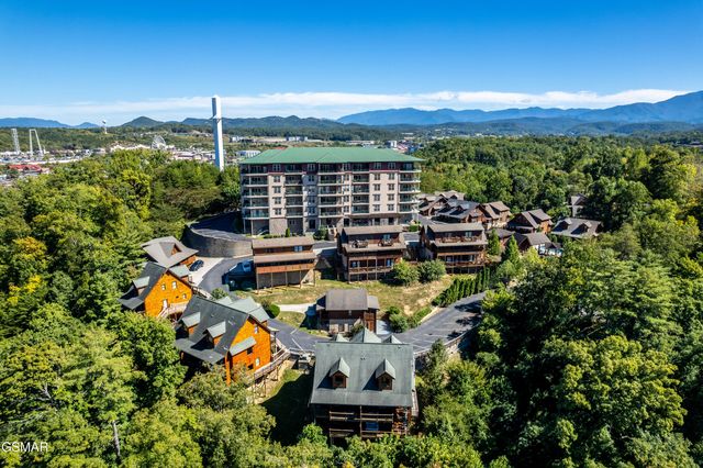 442 Big Bear Way, Pigeon Forge, TN 37863