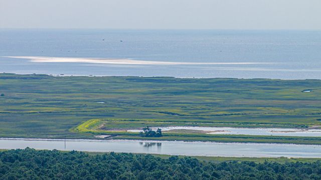 1089 Irving Manigault Road, Mcclellanville, SC 29458