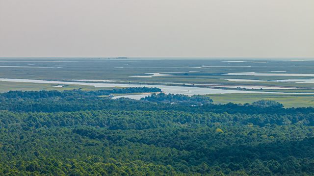 1089 Irving Manigault Road, Mcclellanville, SC 29458