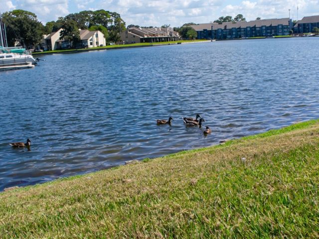12900 Walden Road 708, Montgomery, TX 77356