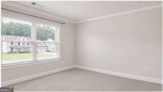 53 Mallard Creek Way, Bethlehem, GA 30620