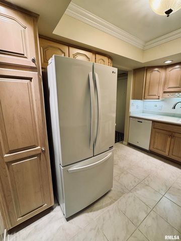 125 E Glen Ave Apt 119B, Peoria, IL 61614
