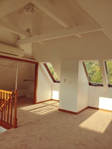 126 Carlisle Street 1, Newton, MA 02459
