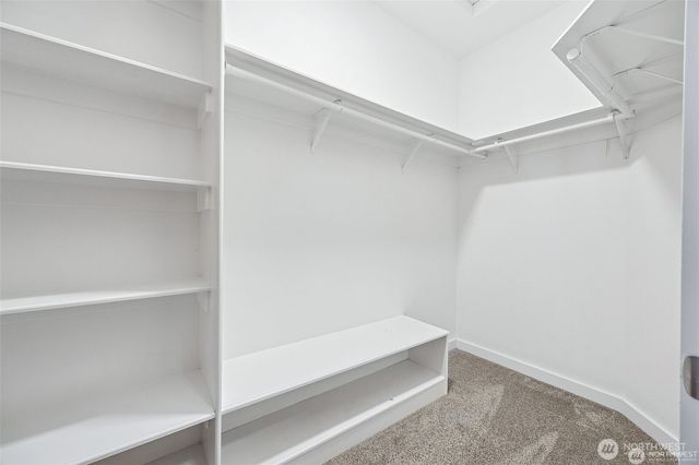 13123 320th Street Ct E, Graham, WA 98338