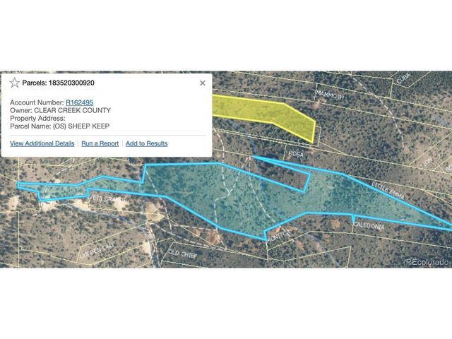 1 Eagle Mining Claim, Dumont, CO 80436