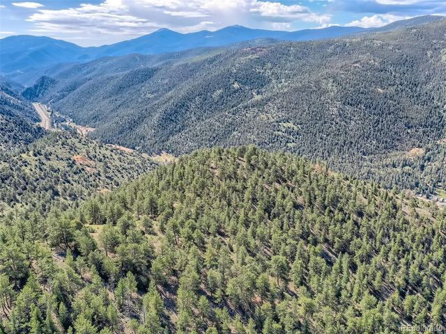 1 Eagle Mining Claim, Dumont, CO 80436
