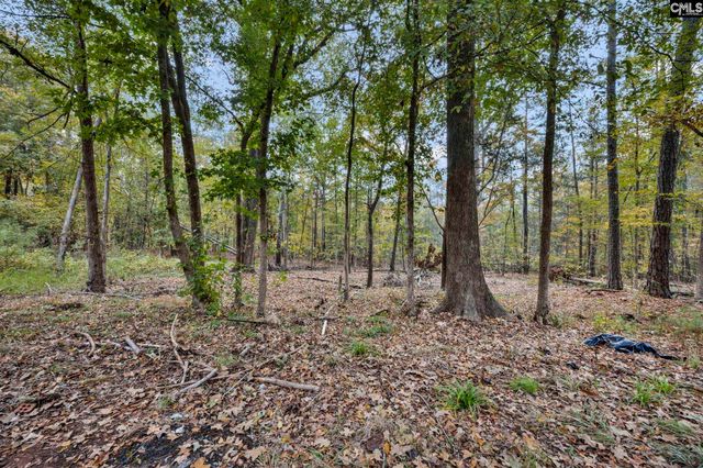8857 SC-215, Jenkinsville, SC 29065