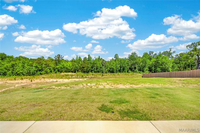 96 Madix Drive, Eclectic, AL 36024
