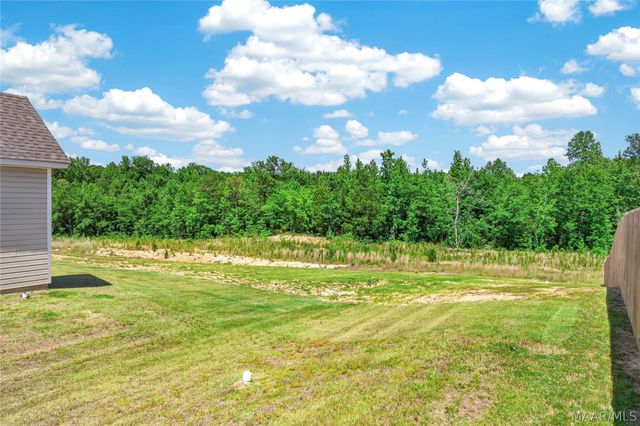 96 Madix Drive, Eclectic, AL 36024