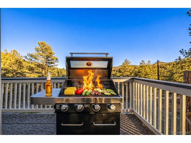 730 Bendemeer Dr, Evergreen, CO 80439