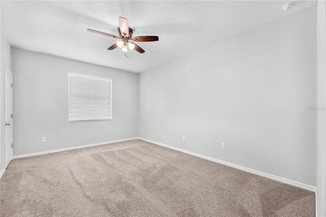 10109 CELTIC ASH DRIVE, Ruskin, FL 33573
