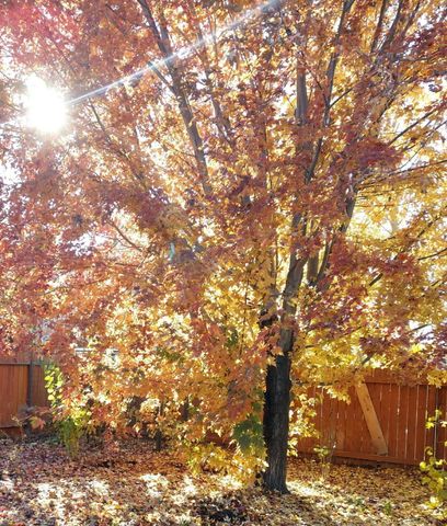 5151 Regency Drive, Klamath Falls, OR 97603