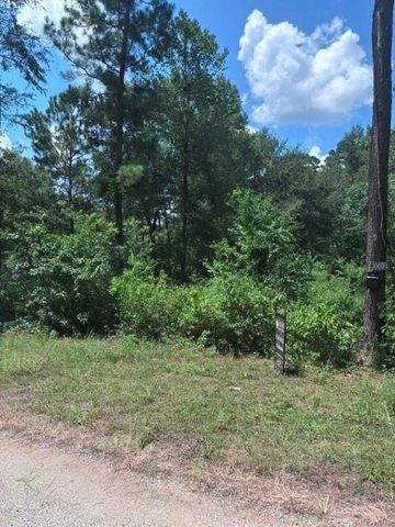 30651 S Walnut Creek Drive, Waller, TX 77484