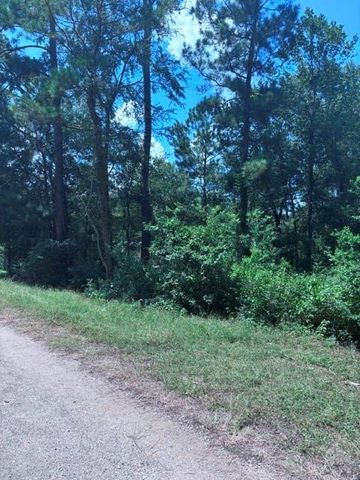 30651 S Walnut Creek Drive, Waller, TX 77484