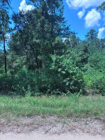 30651 S Walnut Creek Drive, Waller, TX 77484