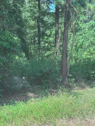 30651 S Walnut Creek Drive, Waller, TX 77484