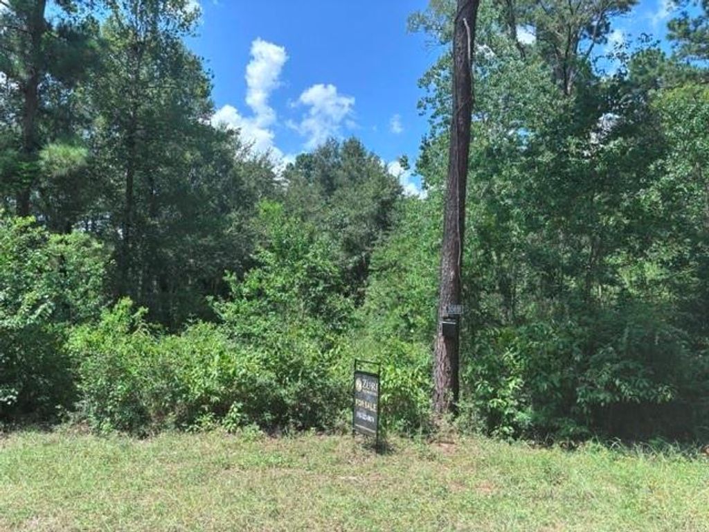 30651 S Walnut Creek Drive, Waller, TX 77484