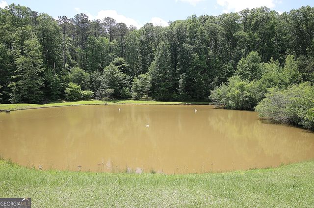 1575 Oak Mountain Road, Shiloh, GA 31826