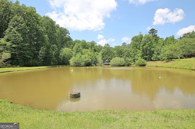 1575 Oak Mountain Road, Shiloh, GA 31826