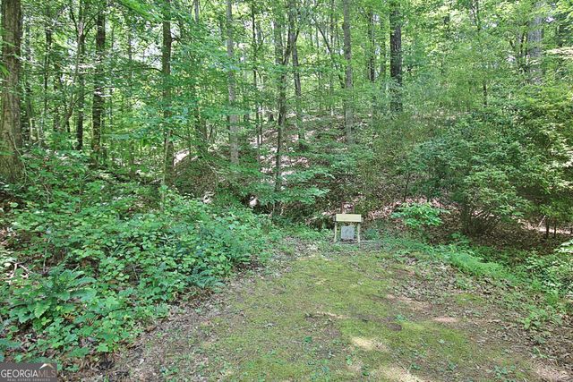 1575 Oak Mountain Road, Shiloh, GA 31826