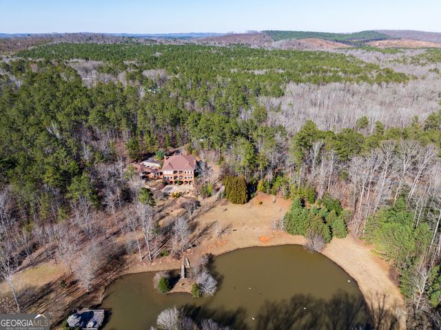 1575 Oak Mountain Road, Shiloh, GA 31826