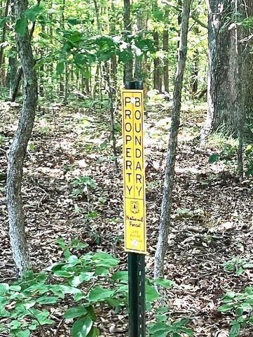 204 Madison CR 410, Fredericktown, MO 63645